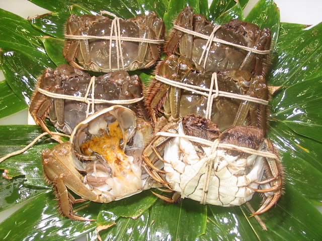 活 上海蟹